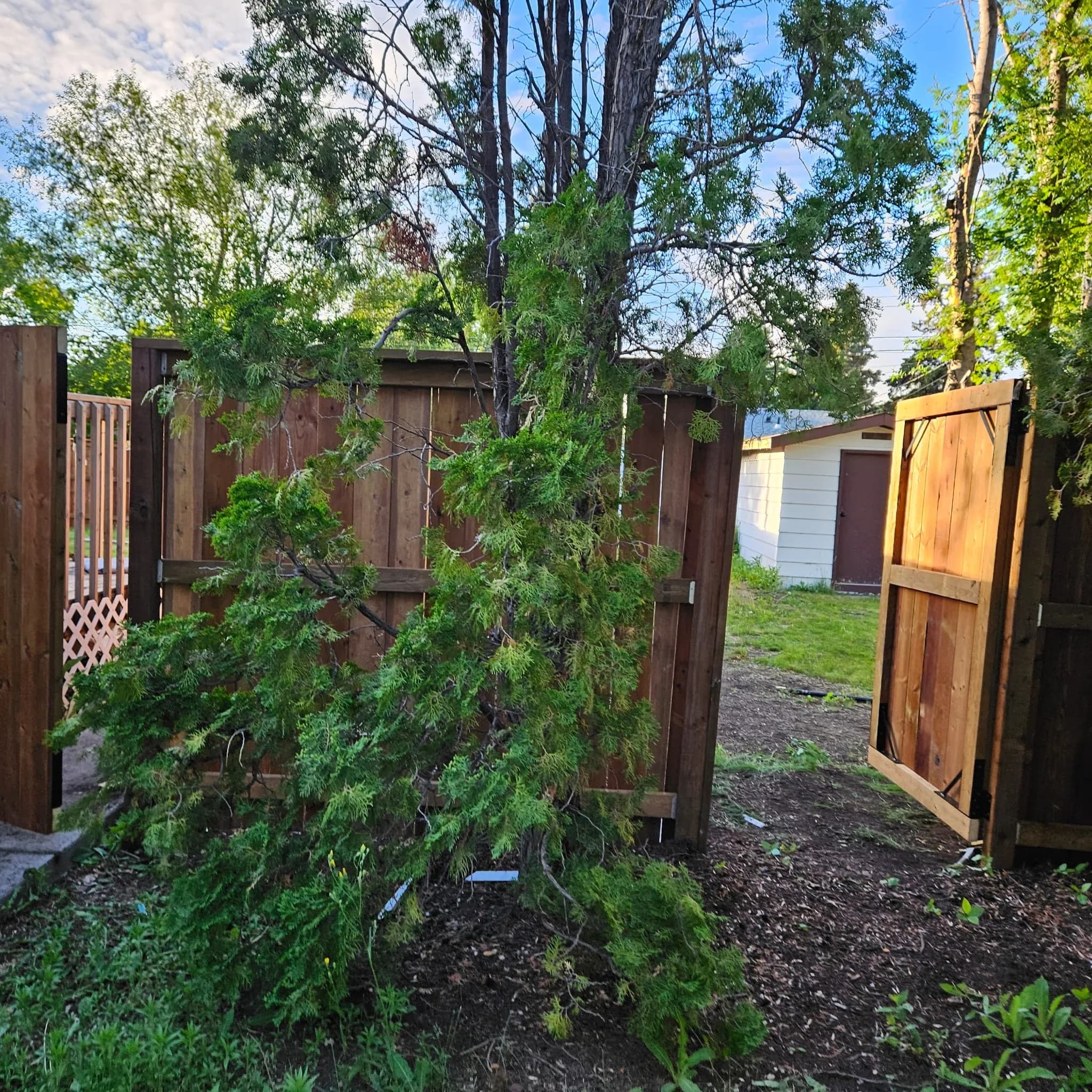Open wood gate within a completed residential fence